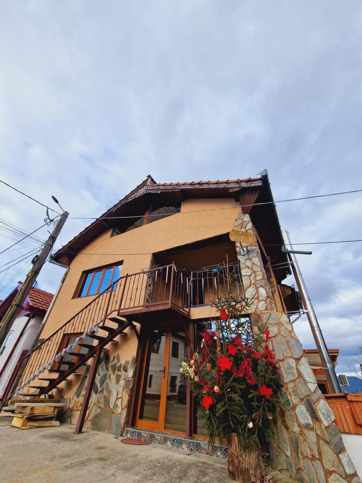Pensiunea Salas Salasu de Sus Exterior photo