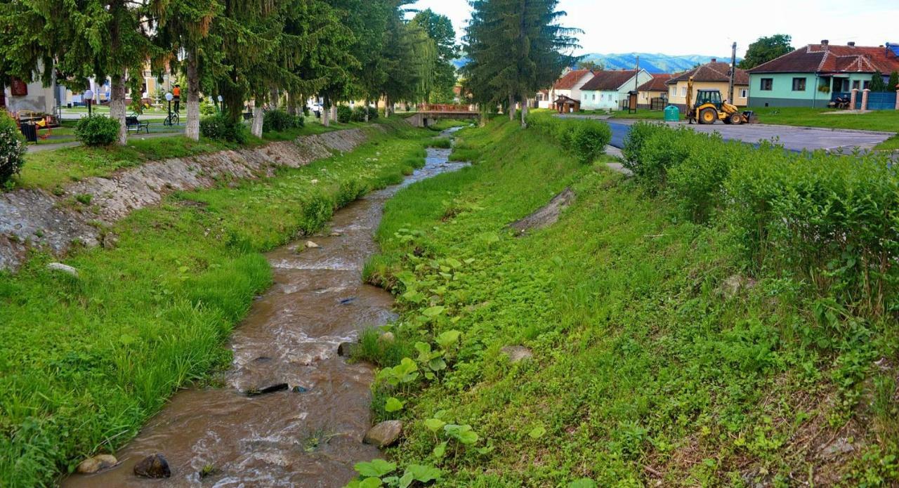 Pensiunea Salas Salasu de Sus Exterior photo